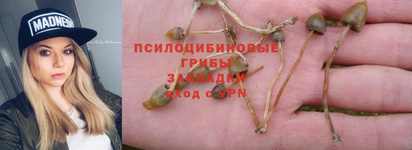 2c-b Касимов