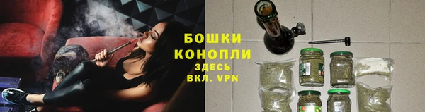 стаф Киренск